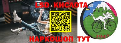 амф Новодвинск