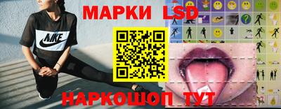 амф Новодвинск