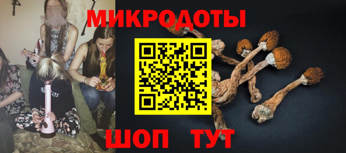 Галлюциногенные грибы ЛСД  Вход с VPN  Галлюциногенные грибы Psilocybine cubensis  Балаково 